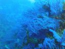 DSC00146.JPG