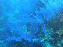 DSC00147.JPG