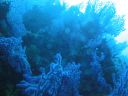 DSC00148.JPG