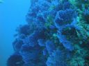 DSC00150.JPG