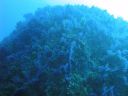 DSC00151.JPG