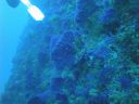 DSC00152.JPG