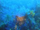 DSC00153.JPG