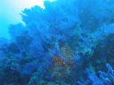 DSC00154.JPG