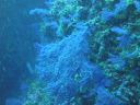 DSC00156.JPG