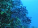 DSC00157.JPG