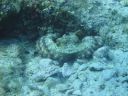 DSC00249.JPG