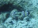 DSC00250.JPG