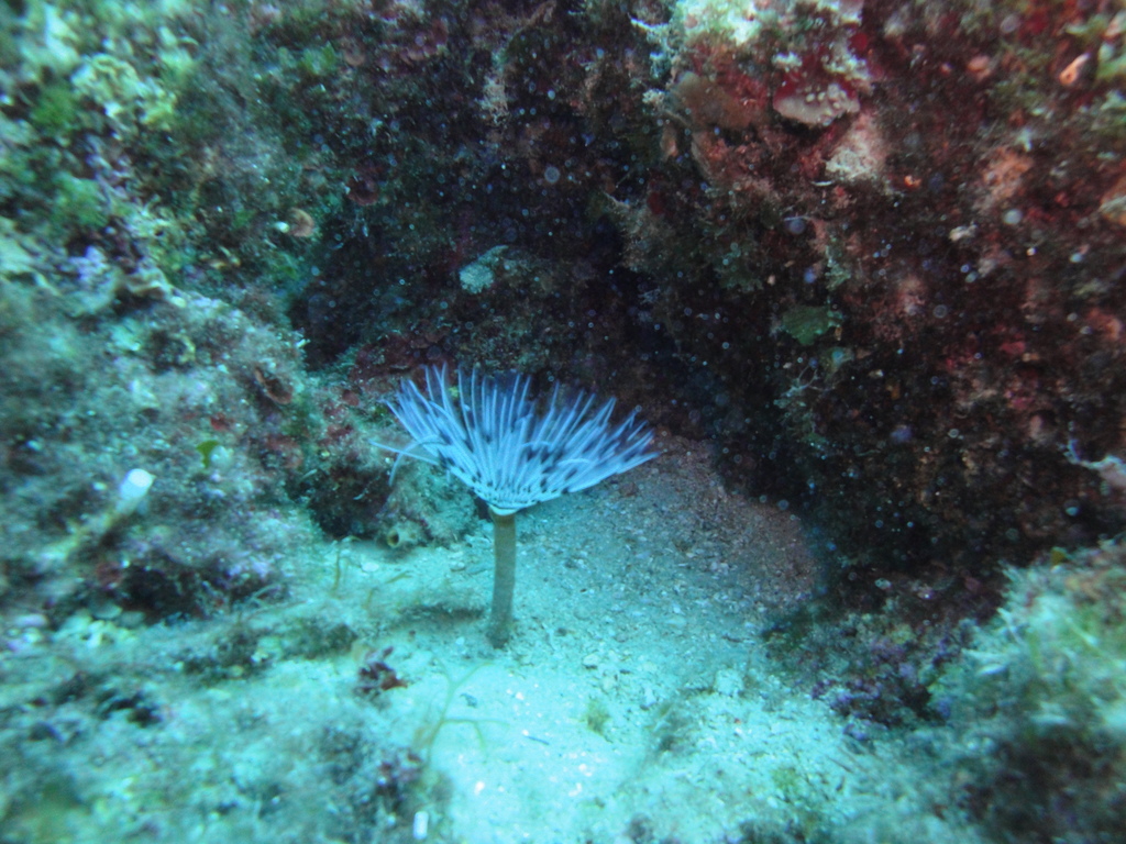 DSC00004.JPG