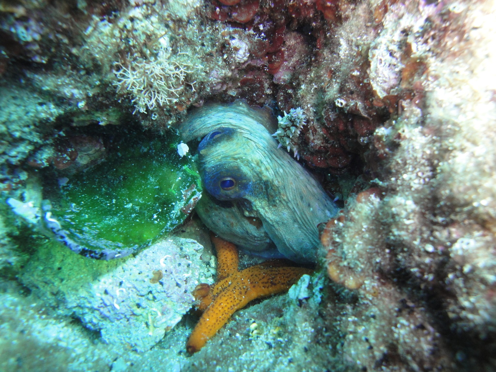 DSC00006.JPG