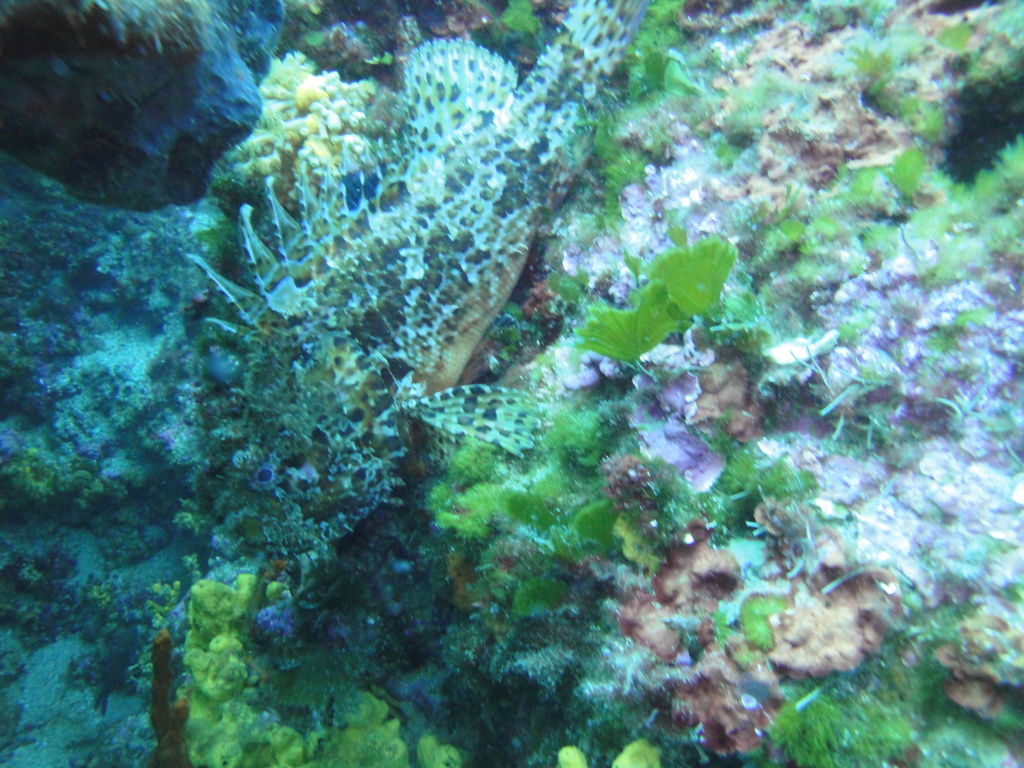 DSC00024.JPG
