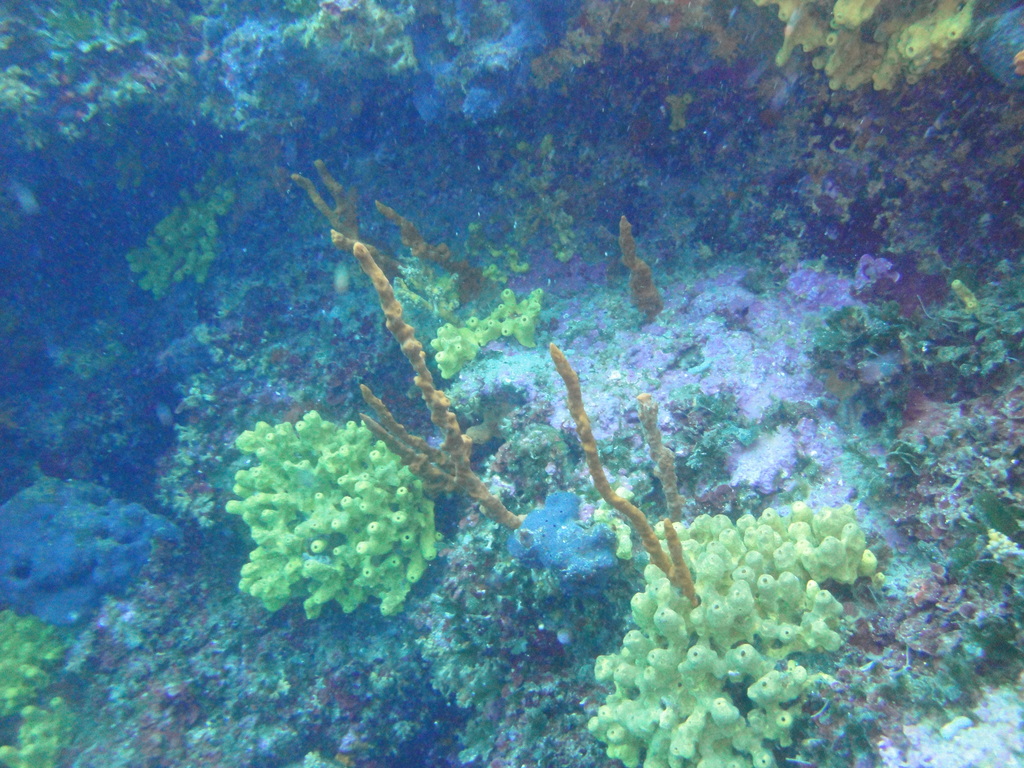 DSC00032.JPG