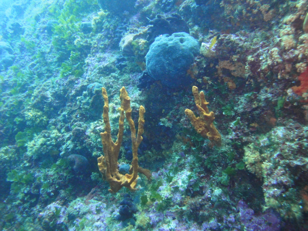 DSC00034.JPG