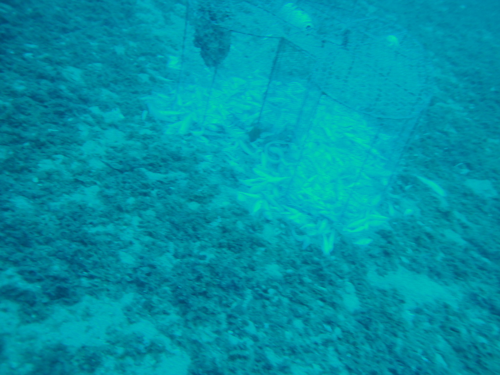 DSC00048.JPG