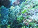 DSC00025.JPG