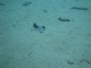 DSC00045.JPG