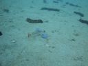 DSC00046.JPG
