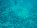 DSC00048.JPG