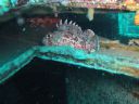 DSC00069.JPG