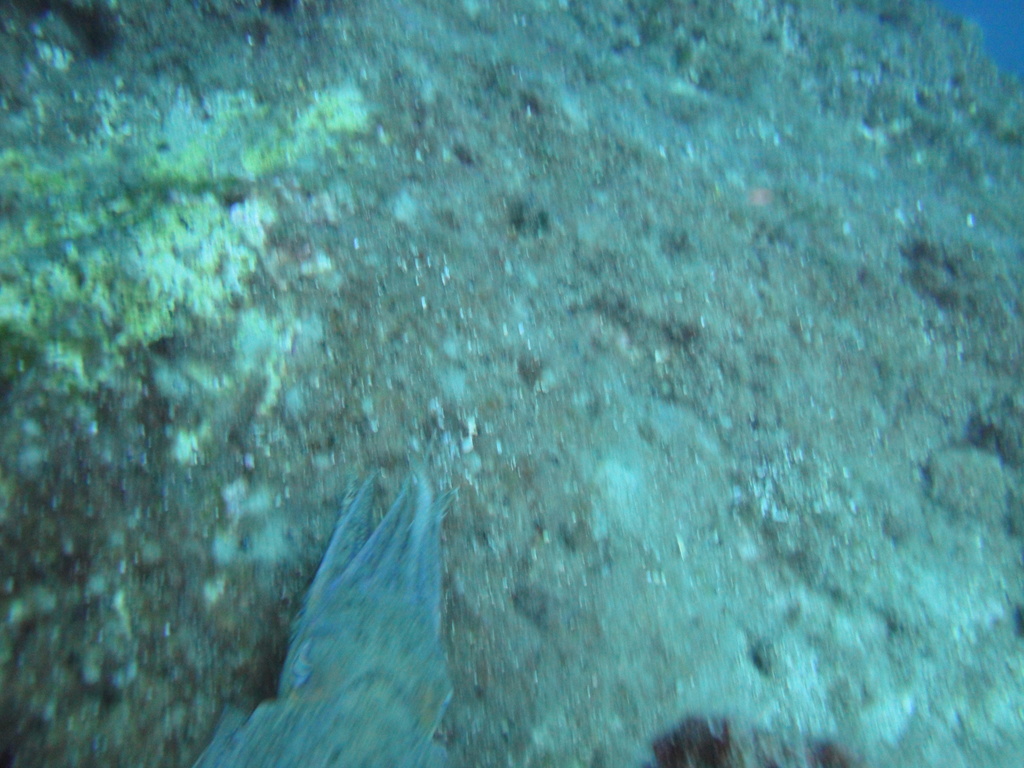 DSC00005.JPG
