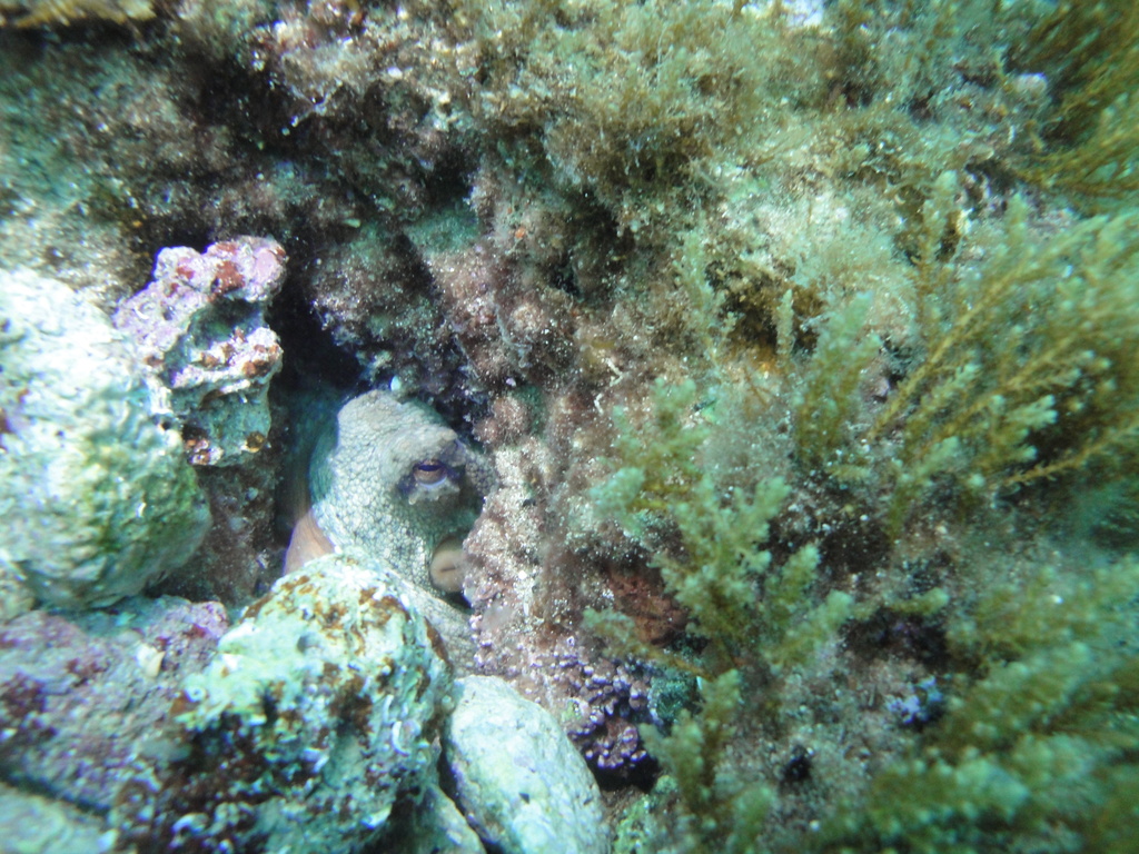 DSC00013.JPG