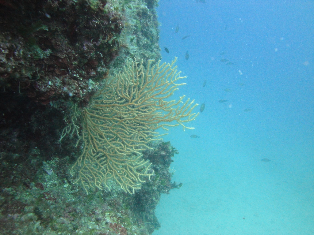 DSC00037.JPG