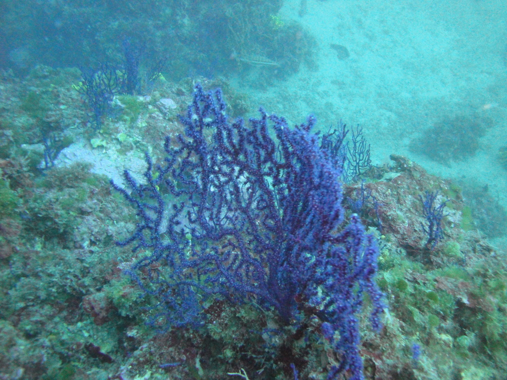 DSC00038.JPG