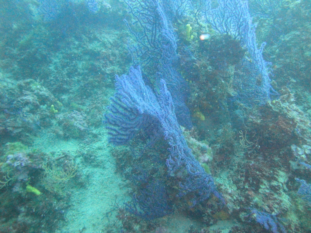 DSC00047.JPG