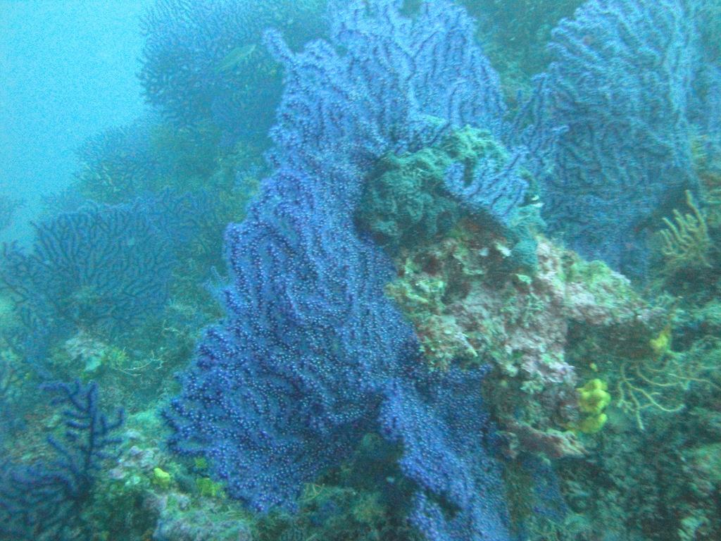 DSC00052.JPG