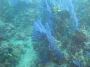 DSC00047.JPG