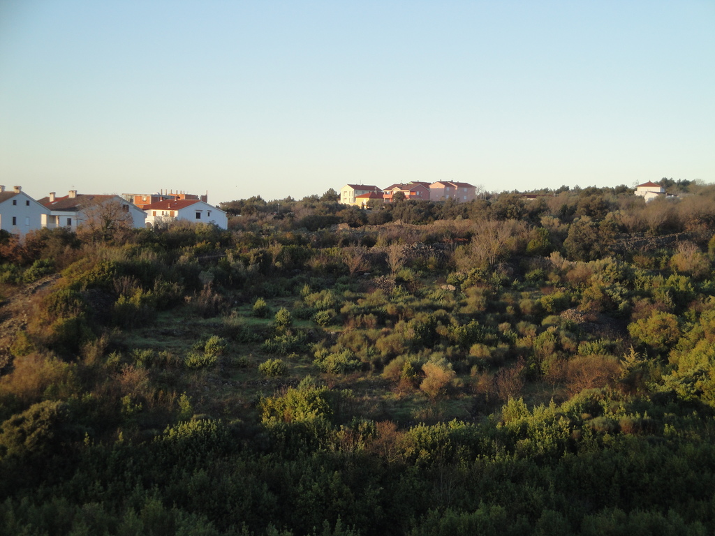 DSC00011.JPG