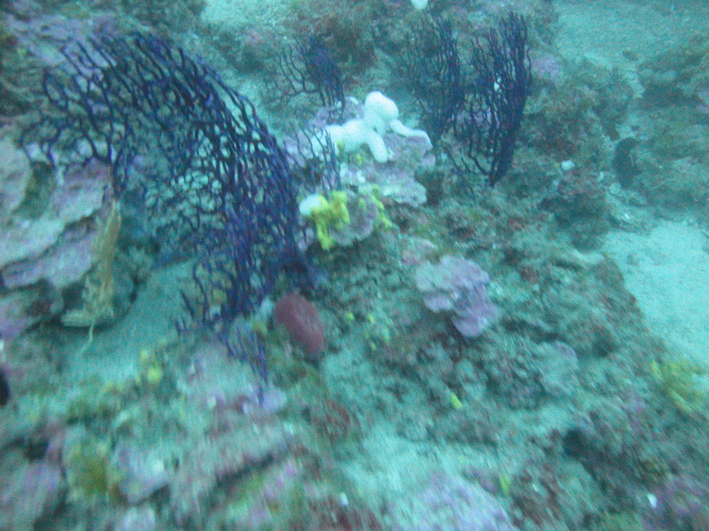 DSC00097.JPG
