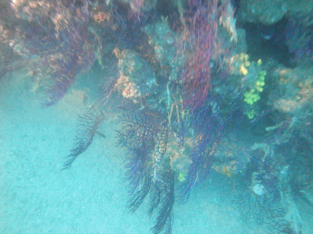 DSC00106.JPG