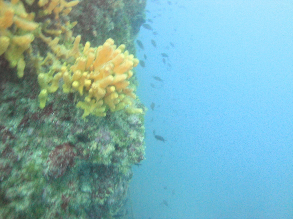 DSC00114.JPG