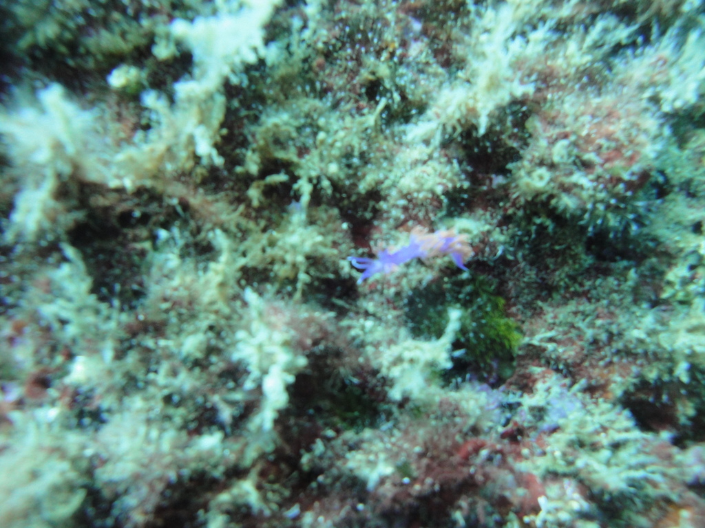 DSC00116.JPG