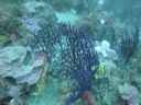 DSC00098.JPG