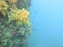 DSC00114.JPG