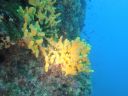 DSC00115.JPG