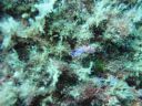 DSC00116.JPG