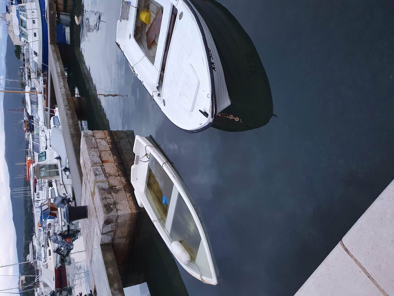 DSC00003.JPG
