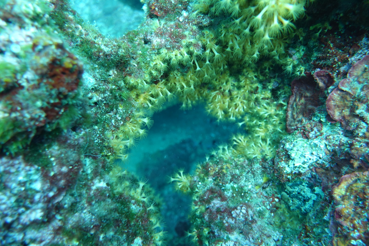 DSC00096.JPG