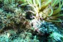 DSC00100.JPG
