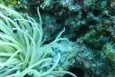 DSC00104.JPG