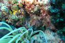 DSC00105.JPG
