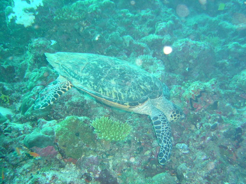 DSC00010.JPG