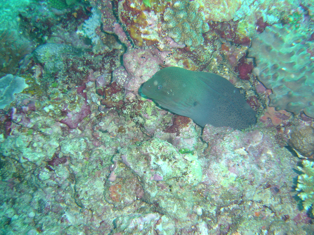 DSC00012.JPG