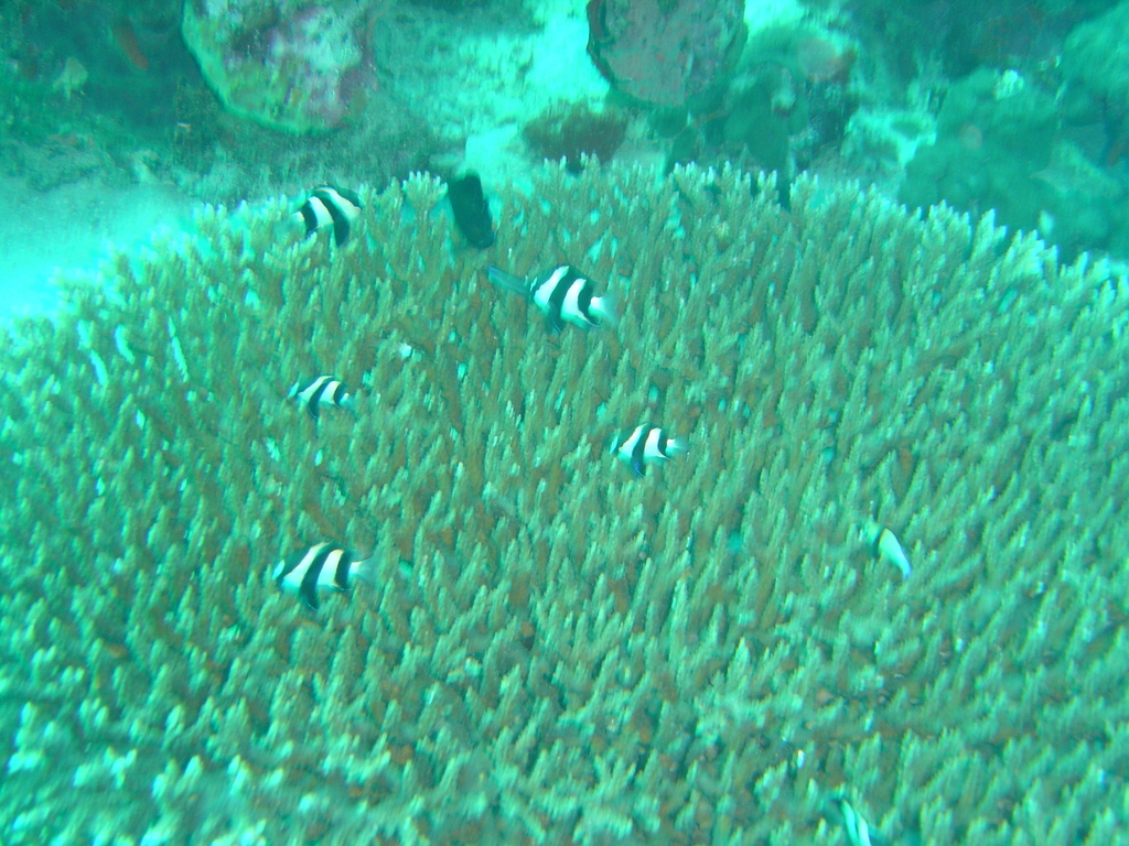 DSC00032.JPG