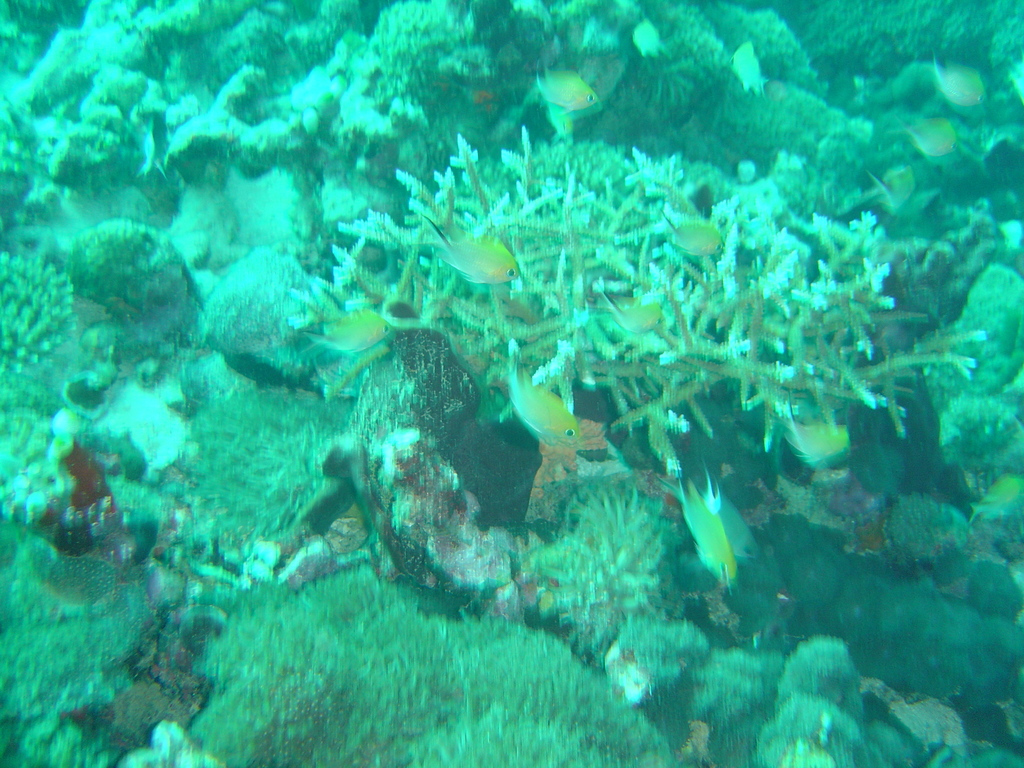 DSC00035.JPG