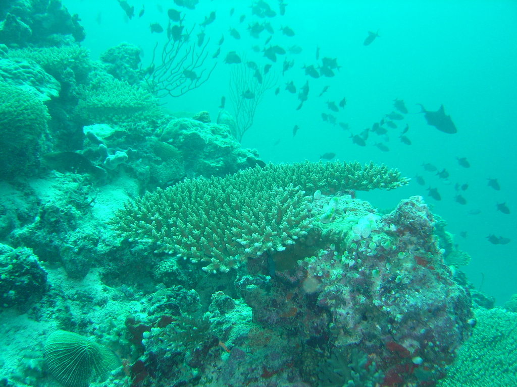 DSC00042.JPG