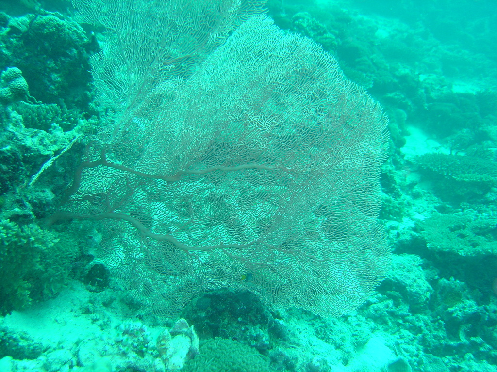 DSC00046.JPG